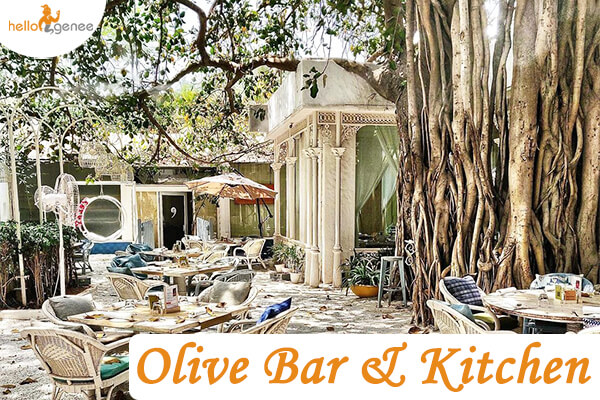 Olive Bar & Kitchen, best cafes for couples in delhi