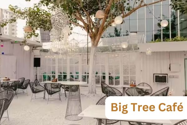 The Big Tree Café
